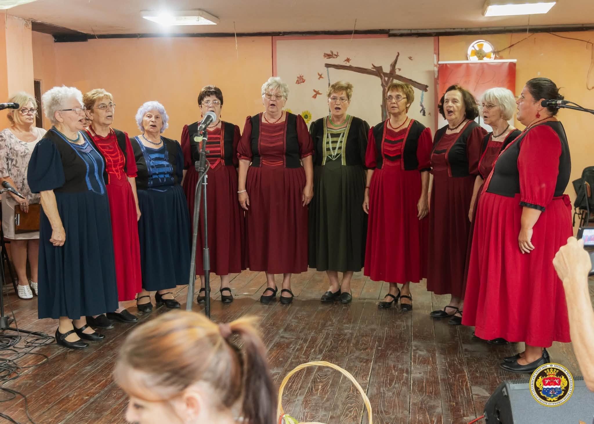 FALUNAP DREÁN-A Petőfi kultúrkör tagjainak fellépése